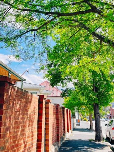 a brick wall next to a tree and a sidewalk at Luxury Hobart City Fringe Home in Hobart