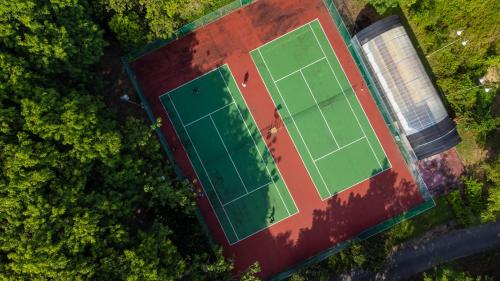 an overhead view of a tennis court with green grass at Turi Beach Resort in Nongsa