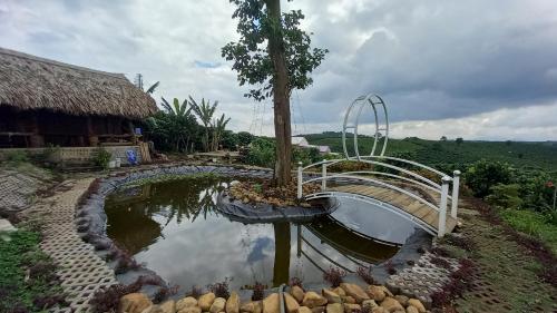 a pool of water with a tree in it at Nông Trại Về Cội - The Original Farm in Buôn Bedeur