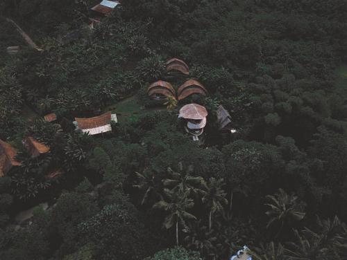 an overhead view of a house in the jungle at Sun Sang Eco Retreats in Tabanan