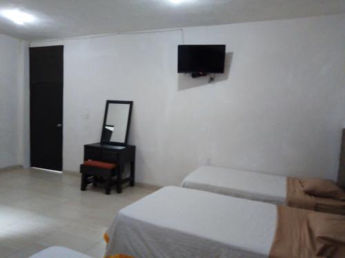 a bedroom with two beds and a mirror and a tv at La Terraza-Departamento 5- Parras de la Fuente in Parras de la Fuente
