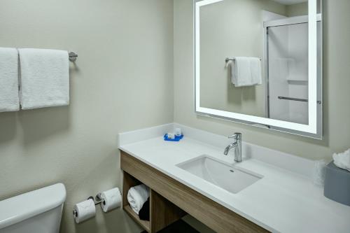 bagno bianco con lavandino e specchio di Holiday Inn Express Lewiston, an IHG Hotel a Lewiston
