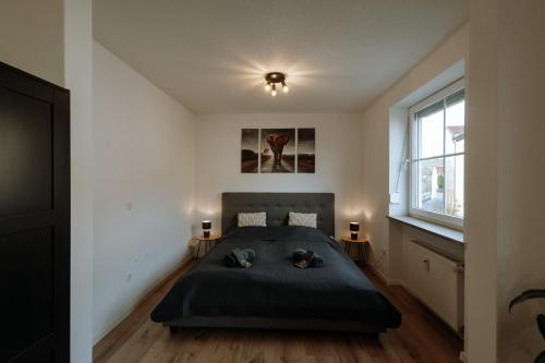 um quarto com uma cama e uma janela em Stilvolles Appartement mit Blick auf das Dreiflüsse-Eck em Passau