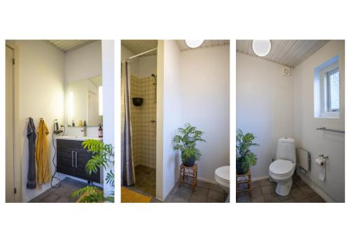 three pictures of a bathroom with plants in it at Cosy One Villa in Struer