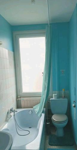 une salle de bain avec baignoire et toilettes et une fenêtre dans l'établissement Bobby's Beds, à Les Ponts-de-Cé