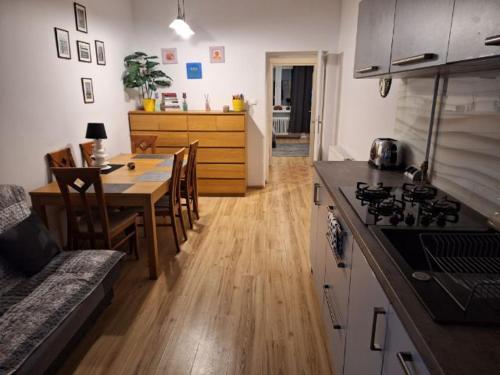 A kitchen or kitchenette at Apartment Centrum