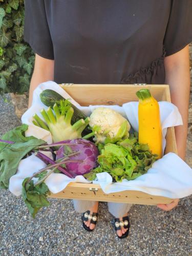 a person holding a basket filled with vegetables at matill - timeless boutique retreat in Laces