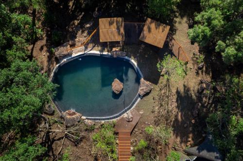 an overhead view of a swimming pool in a forest at Sediba Luxury Safari Lodge in Welgevonden Game Reserve