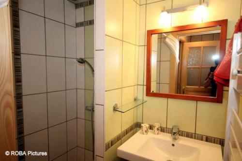 La salle de bains est pourvue d'un lavabo et d'un miroir. dans l'établissement Chalet le Grand Tétras, à La Bresse