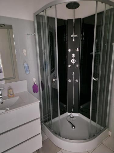 La salle de bains est pourvue d'une douche et d'une cabine de verre. dans l'établissement T3 Hypercentre Troyes idéalement situé, à Troyes