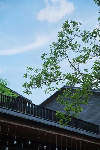 Gallery image of Mogan Valley Resort in Deqing