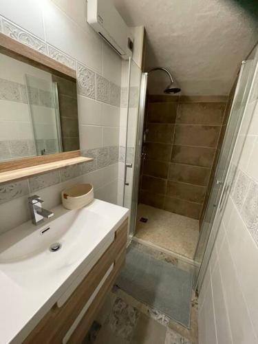 une salle de bain avec un lavabo et une douche dans l'établissement Petite maison de village cosy à Serre chevalier, au Monêtier-les-Bains