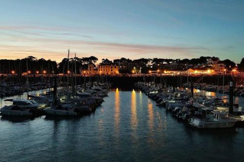 un groupe de bateaux amarrés dans une marina la nuit dans l'établissement 