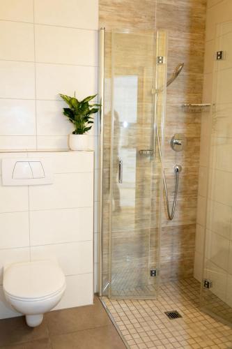 a bathroom with a shower with a toilet and a plant at Erlenhof in Maria Alm am Steinernen Meer