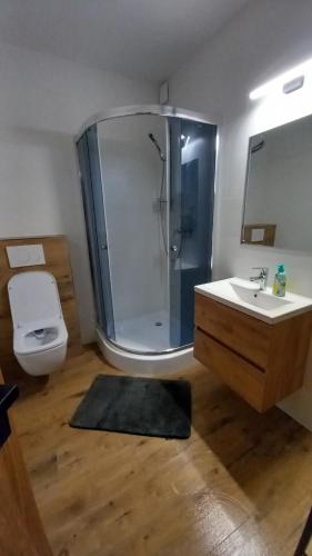 Kúpeľňa v ubytovaní Priestranný apartmán 64 m2 v malebnom penzione Pavčina Lehota pri svahu