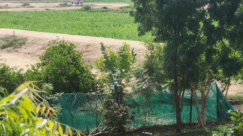 a garden with trees and a fence next to a field at اطلالة الوادي غرفة ساحرة في صامطة in Şāmitah