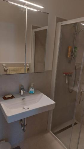 een badkamer met een witte wastafel en een douche bij Cozy, Bright and Affordable Studio w/ FREE Parking in Ljubljana