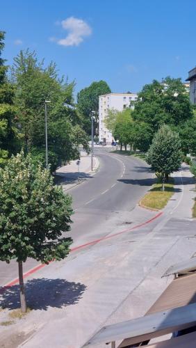 een lege straat met bomen aan beide zijden bij Cozy, Bright and Affordable Studio w/ FREE Parking in Ljubljana