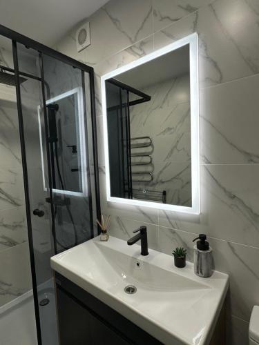 ein Bad mit einem Waschbecken, einem Spiegel und einer Dusche in der Unterkunft Vienibas Apartaments in Krāslava