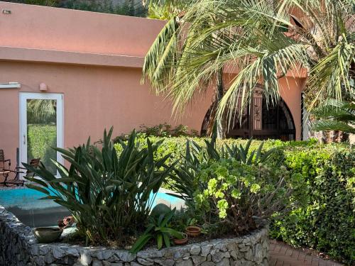 uma casa com piscina e algumas plantas em Villa Grande em Messina