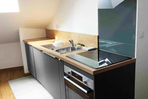 une petite cuisine avec un évier et un comptoir dans l'établissement Superbe appartement en coeur de ville, à Orléans