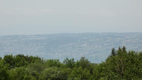 Studio Yeti Immobilier – Photos 4