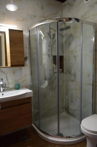a shower stall in a bathroom with a sink at Alisaxni Seaside Studio in Agios Ioannis Pelio