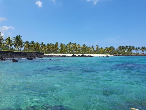 a beach with turquoise water and palm trees at Le A, Trou du Prophète in Mitsamiouli