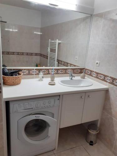 une salle de bain avec une machine à laver et un lavabo dans l'établissement Appartement T2 mezzanine avec piscine., à Saint-Cyprien