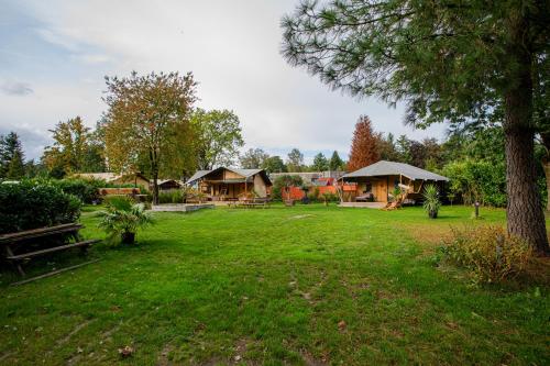 a green yard with cottages in the background at Camping Vossenberg - op de Veluwe! in Epe