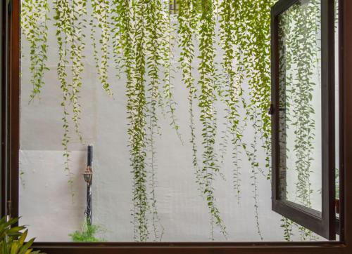 a window with a ivy growing on a wall at Aaron Boutique Hotel in Nha Trang