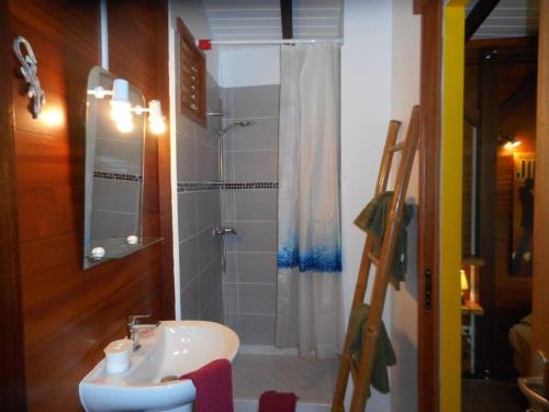 a bathroom with a shower and a white sink at Ti Chalet à Malendure Bouillante in Bouillante