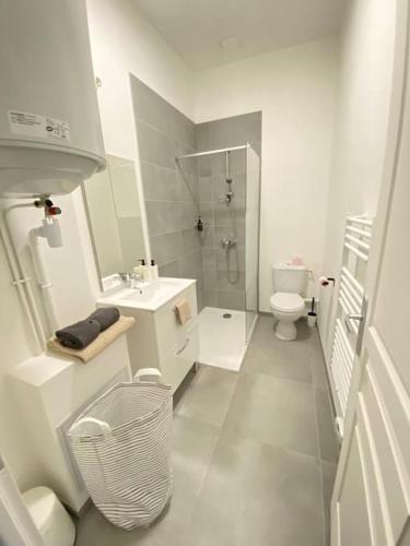 une salle de bain blanche avec douche et toilettes dans l'établissement Appartement coup de coeur en centre-ville, à Orléans