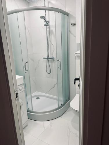 a shower with a glass door in a bathroom at Sun Clock Apartment in Šiauliai