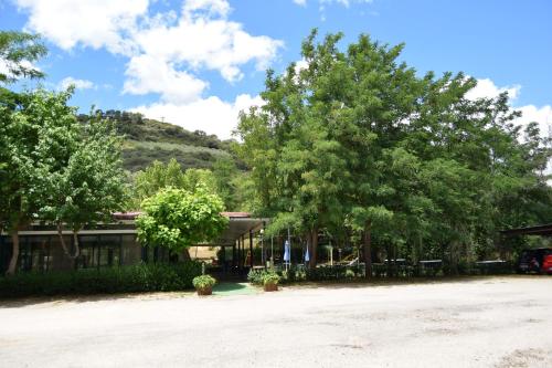 a building with trees and a mountain in the background at Bungalows, Camping Vega de Francia in Sotoserrano