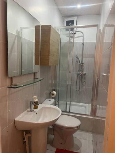 La salle de bains est pourvue d'un lavabo, de toilettes et d'une douche. dans l'établissement Le Bourget super appartement au centre ville, au Bourget