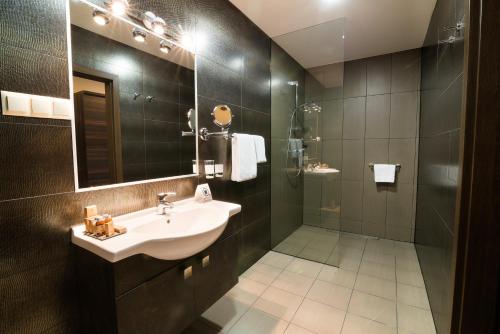 梅萊茨的住宿－阿特納酒店，一间带水槽和淋浴的浴室