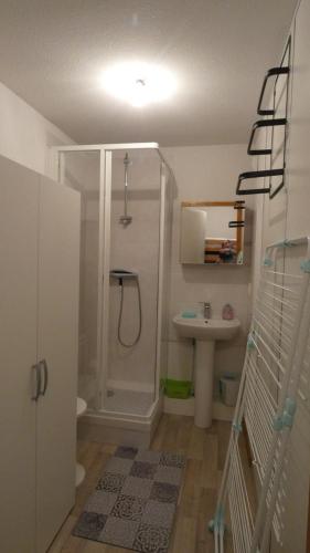 トロンにあるAppartement Yeti Immobilier 1のバスルーム(シャワー、シンク付)