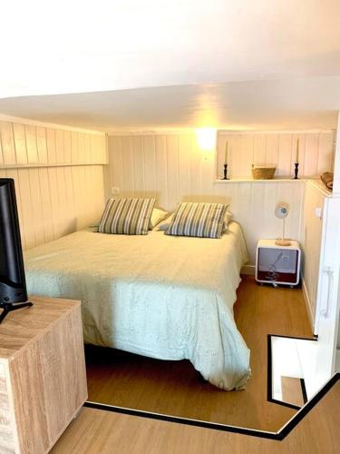 - une chambre avec un grand lit et une télévision dans l'établissement Charmant cabanon les pieds dans l’eau…, à Marseille