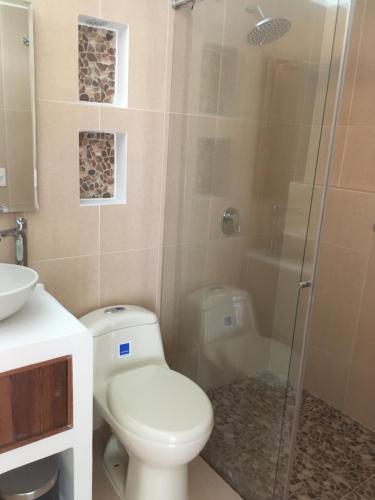 W łazience znajduje się toaleta i przeszklony prysznic. w obiekcie Serendipity Hospedaje Boutique w mieście Guatapé