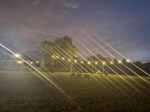 a row of lights in a field at night at Sodyba vienkiemyje "Šeimos slėnis" in Kupiškis