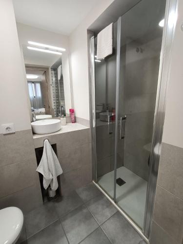 a bathroom with a shower and a toilet and a sink at Rey Mundo in Munébrega