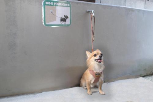 a dog sitting on a leash next to a cat sign at Coral Gate in Kume コーラルゲートイン久米 in Naha