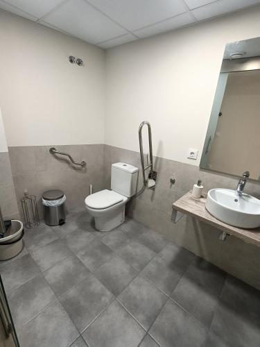 a bathroom with a toilet and a sink and a mirror at Rey Mundo in Munébrega