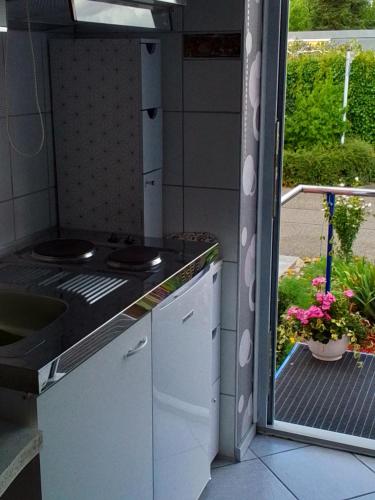 eine Küche mit einer Spüle und einer Arbeitsplatte in der Unterkunft Appartement in Offenburg
