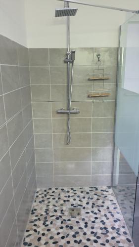 a shower with a glass door and a shower at Villa Zeinga in Sainte-Anne