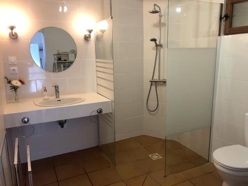 een badkamer met een wastafel en een douche bij Hameau de Montcabirol - Pyrénées in Mirepoix