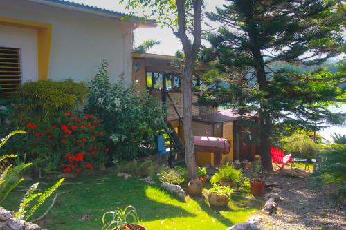a garden with a house and a yard with plants at Zion Country in Manchioneal