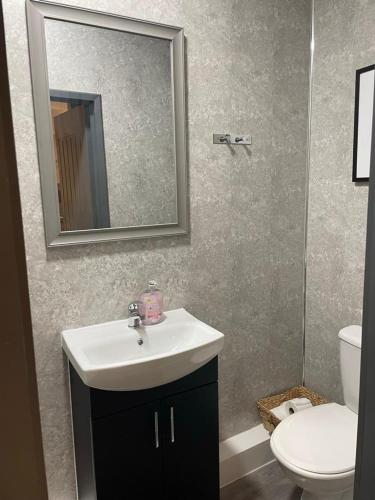 a bathroom with a sink and a toilet and a mirror at DD Apartment 2 - Free Parking - Fast WifI in Castle Donington