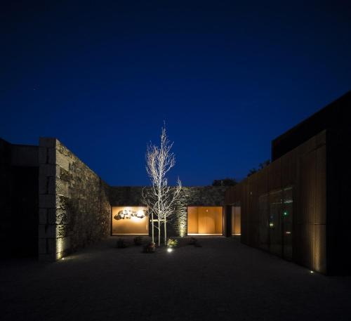 a tree in the courtyard of a building at night at Monverde - Wine Experience Hotel - by Unlock Hotels in Amarante